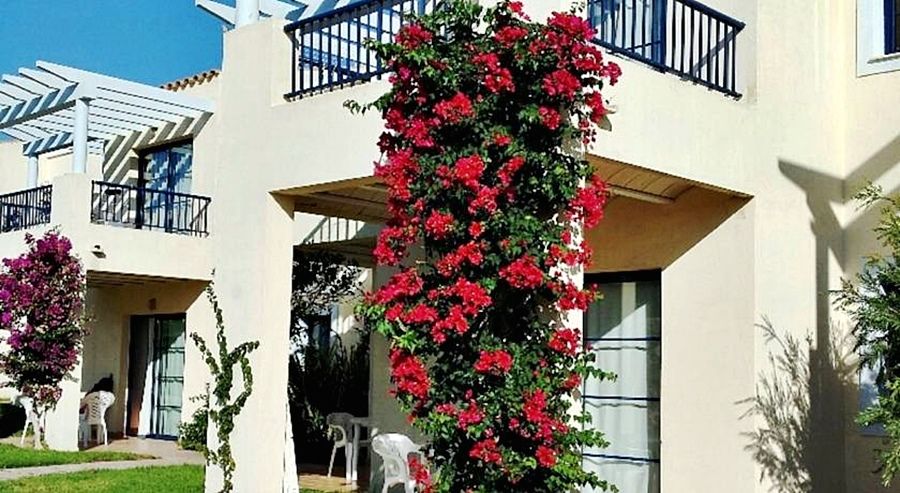 Apartamentos Primasud Punta Prima  Exterior photo
